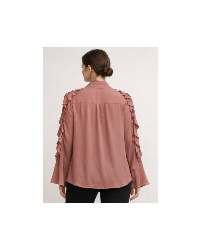 ✨ Sheer Elegance – Women’s Ruffled Tie‑Neck Blouse #tajerone